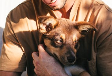 pet's health