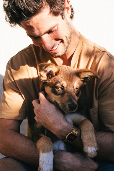 pet's health