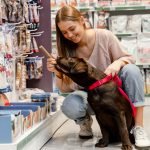 Las Vegas Repeals Ban on Retail Pet Store Puppy Sales