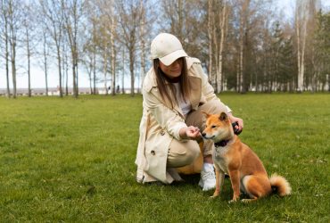 Feed To Your Dog