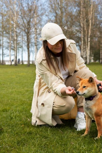 Feed To Your Dog