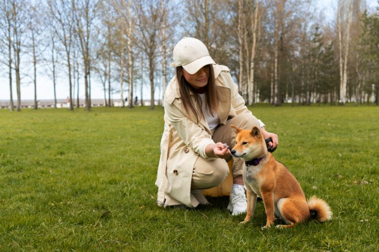 Feed To Your Dog