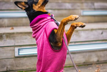 admitted to mistreating Caitlyn