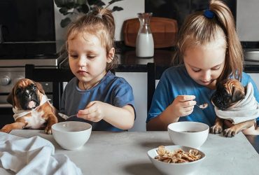 Dog Likes Their Food