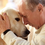 A Veterinarian's Perspective: The Role of Empathy in Pet Euthanasia