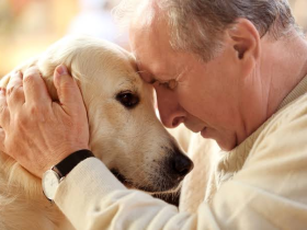 A Veterinarian's Perspective: The Role of Empathy in Pet Euthanasia