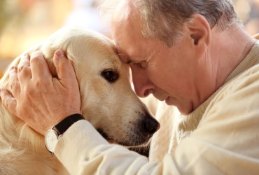 A Veterinarian's Perspective: The Role of Empathy in Pet Euthanasia