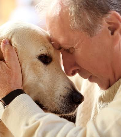 A Veterinarian's Perspective: The Role of Empathy in Pet Euthanasia