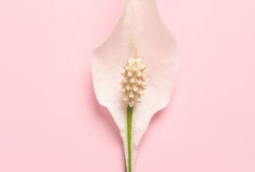 vaginal tightening stick