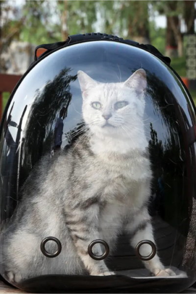 Manufacturer Directly Supplies cat Bags