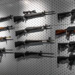 gun stores