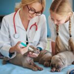 pet clinic