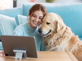 pet industry