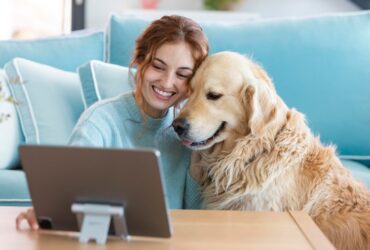 pet industry