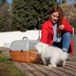 flight nanny service