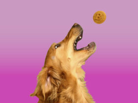 natural dog treats