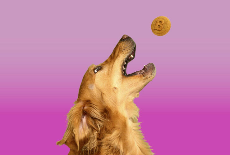natural dog treats